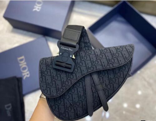 Dior Saddle photo review