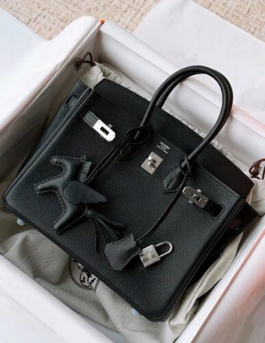 Hermes Birkin 25 photo review