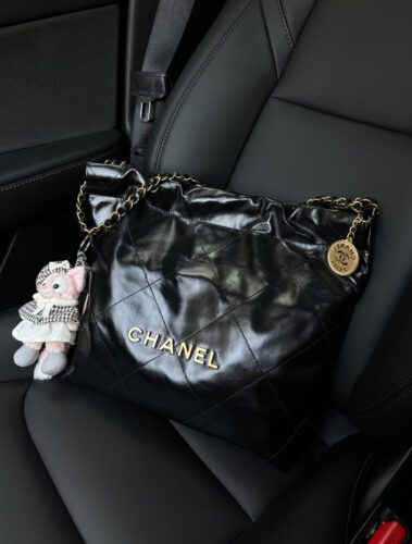 Chanel 22 Bag photo review