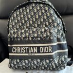 Dior Travel Backpack photo review