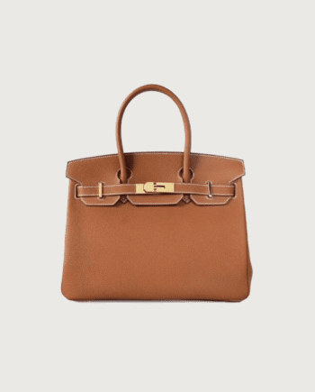 Hermes Birkin 25